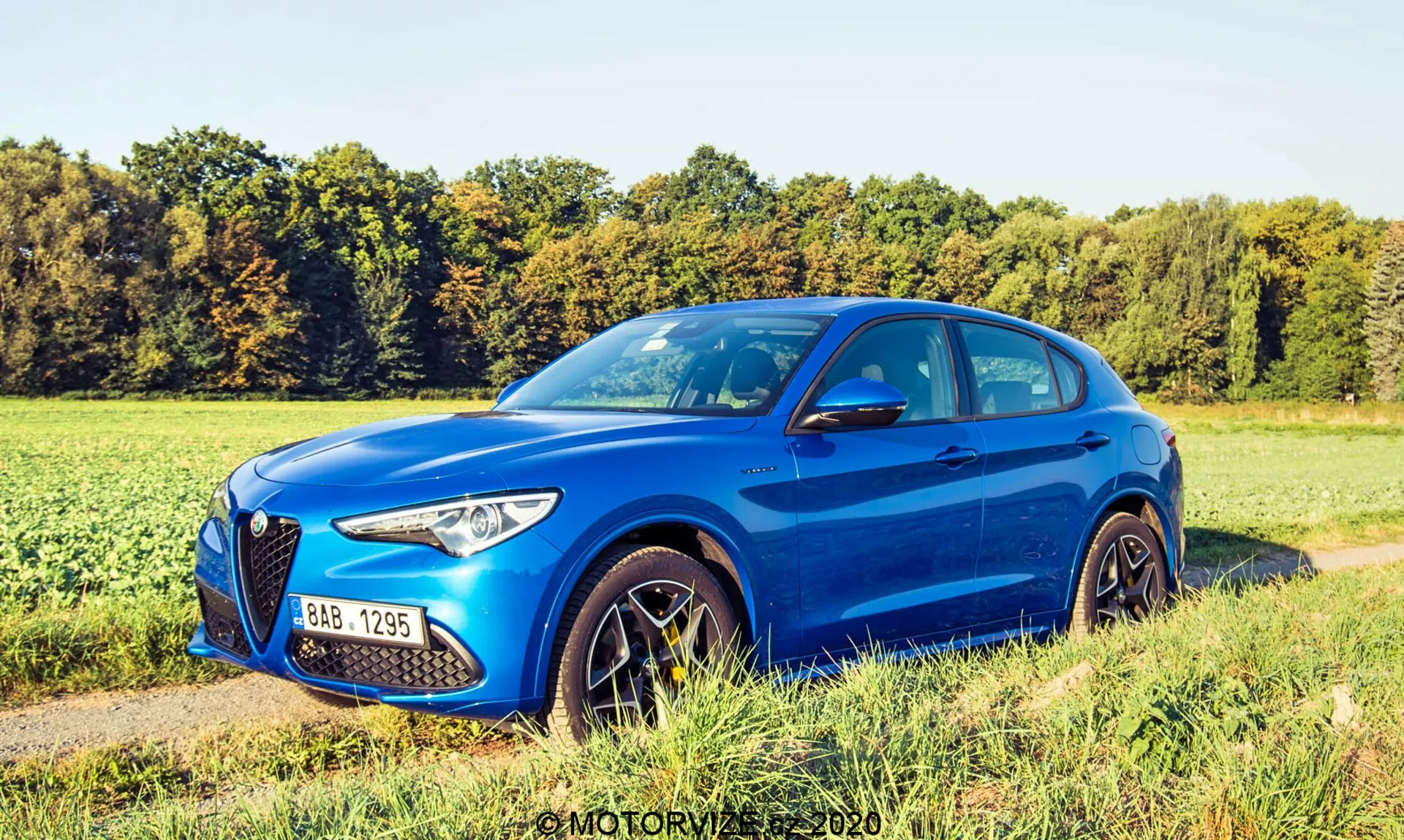 Vista de tres cuartos de un Alfa Romeo Stelvio 2017 azul que muestra su diseño moderno y deportivo de SUV, con el frente hacia la izquierda y tanto el perfil lateral como el frente visibles, incluyendo la gran parrilla prominente con el logotipo, los faros elegantes, las llantas de aleación y las líneas esculpidas. Colocado al costado de un camino de césped con un campo natural de fondo, sugiriendo un entorno rural o semi-rural.