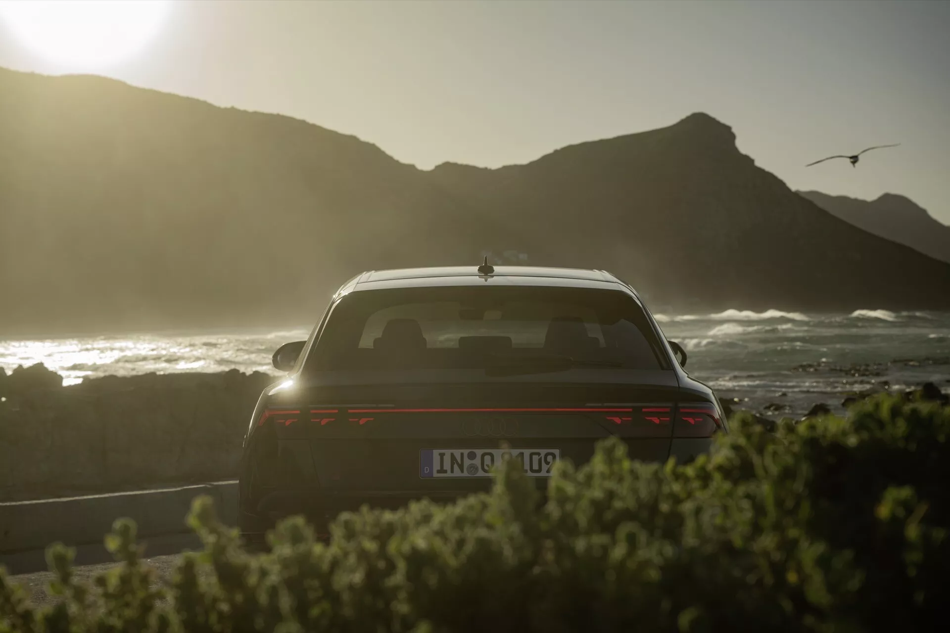 Vista trasera del Audi Q8 2023 (4M-Facelift) destacando la tapa del maletero, la ventana trasera, parte del techo con silueta al atardecer, fondo costero con gaviota, alerón, luces traseras horizontales iluminadas, posible cámara de reversa, y antena tipo aleta de tiburón