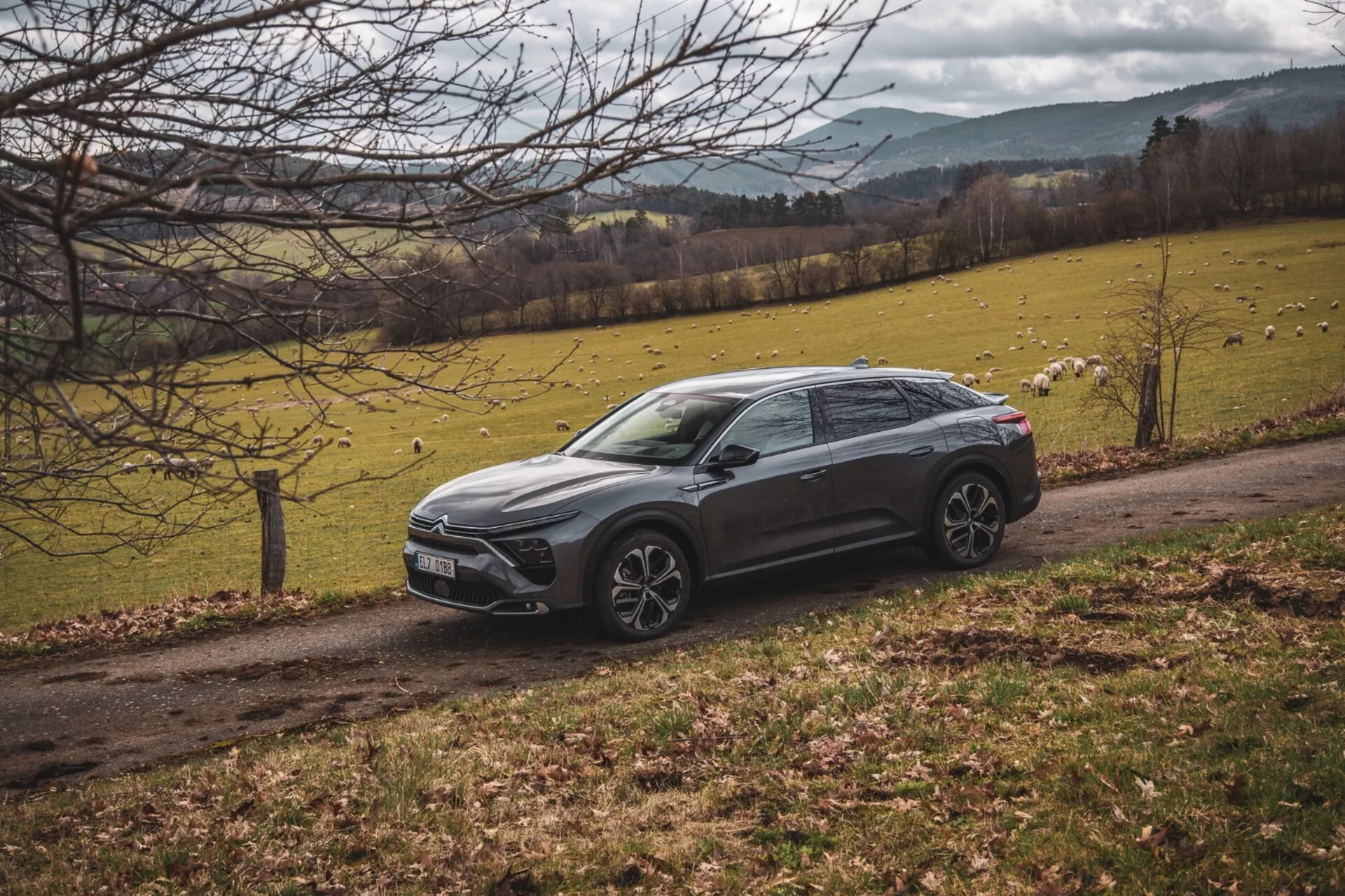 Citroen C5-X 2022 aparcado diagonalmente en un paisaje campestre con campo de hierba y árboles, mostrando su diseño elevado de crossover, líneas afiladas de carrocería, color oscuro, ruedas de aleación y faros LED