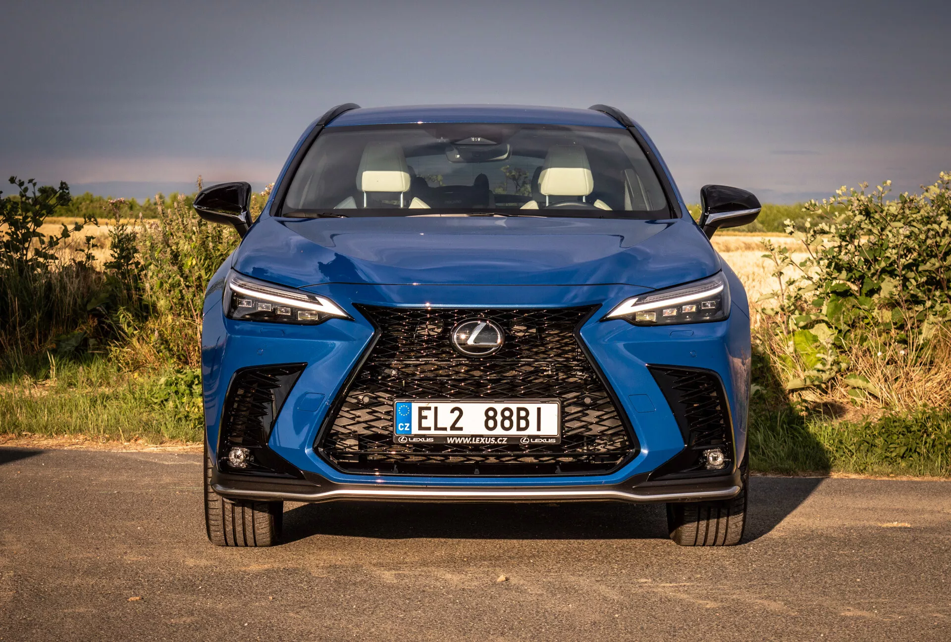 Vista frontal cercana del Lexus NX 2021 que muestra parrilla grande, faros LED y placa de matrícula, con un enfoque en diseño y tecnología en un entorno natural.