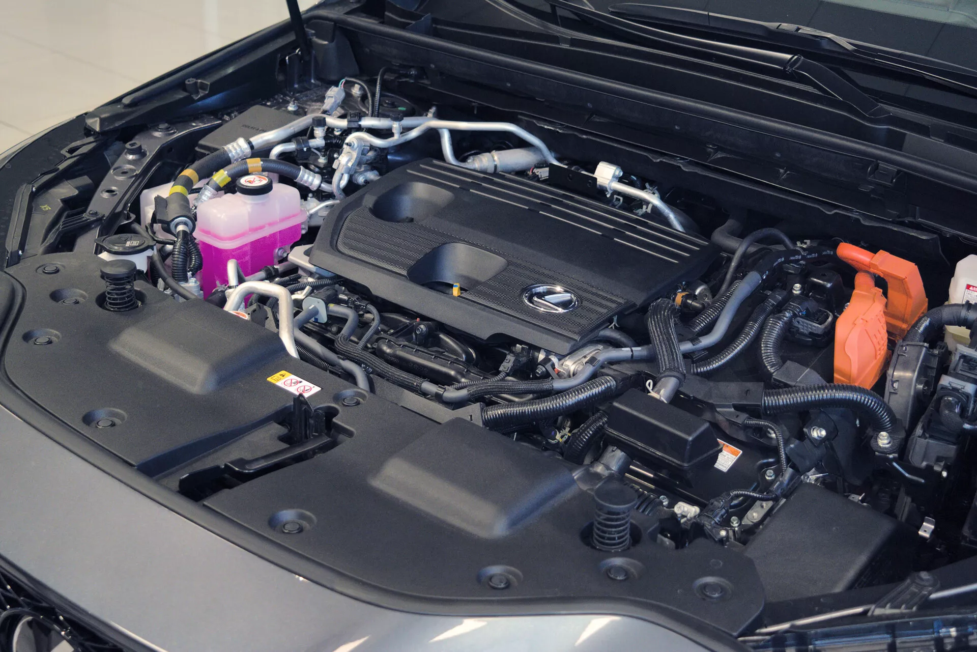 Vista de primer plano del compartimento del motor de un coche con el capó abierto, revelando un compartimento del motor bien organizado y limpio. La cubierta del motor presenta un logotipo prominente, que indica la marca, y varios componentes como depósitos de colores, cables asegurados y una batería visible con una tapa de terminal positivo roja. La disposición sugiere un vehículo moderno y posiblemente lujoso, enfatizando la complejidad de su sistema eléctrico y su condición impecable.