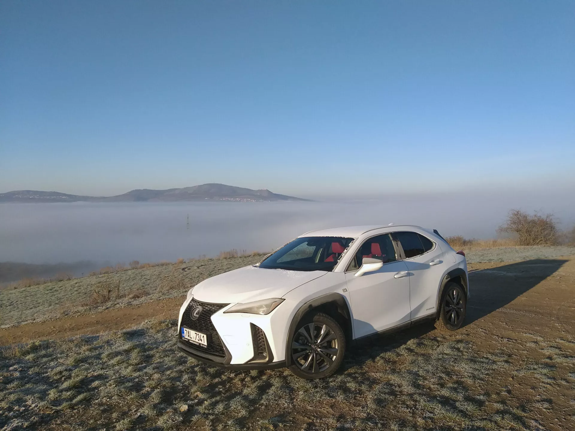 Vehículo utilitario deportivo blanco Lexus UX 2019 estacionado al aire libre sobre césped cubierto de heladas, mostrando sus faros LED angulares, gran parrilla de patrón de malla, tomas de aire deportivas, capó contorneado, ruedas de aleación de múltiples radios negros, techo solar panorámico y elementos de diseño contemporáneo en un escenario matutino brumoso.