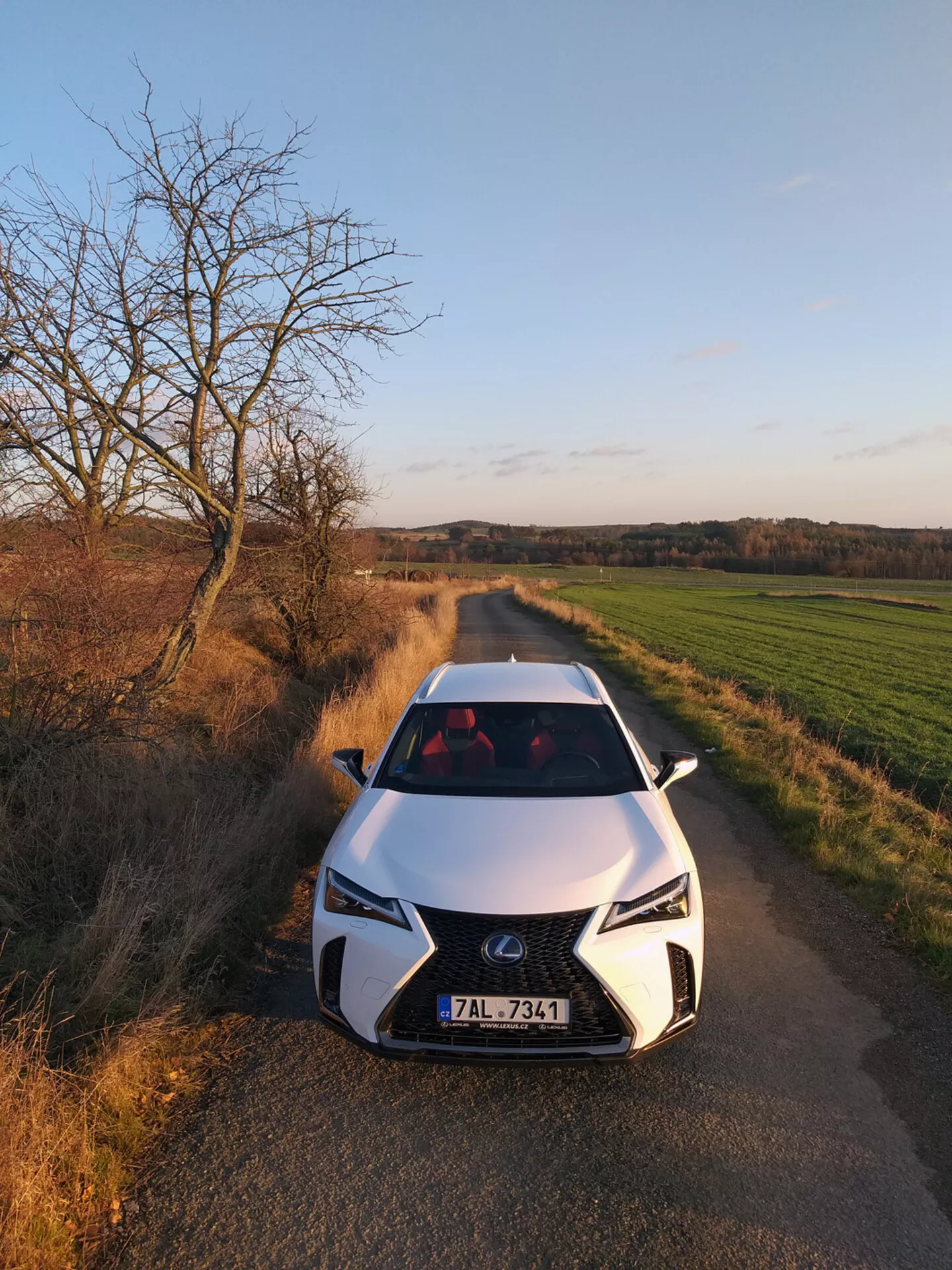 Lexus UX 2019 mostrado desde un ángulo frontal alto en un camino rural, presentando la parrilla en forma de huso, faros LED y diseño aerodinámico del capó insinuando tecnología automotriz avanzada.