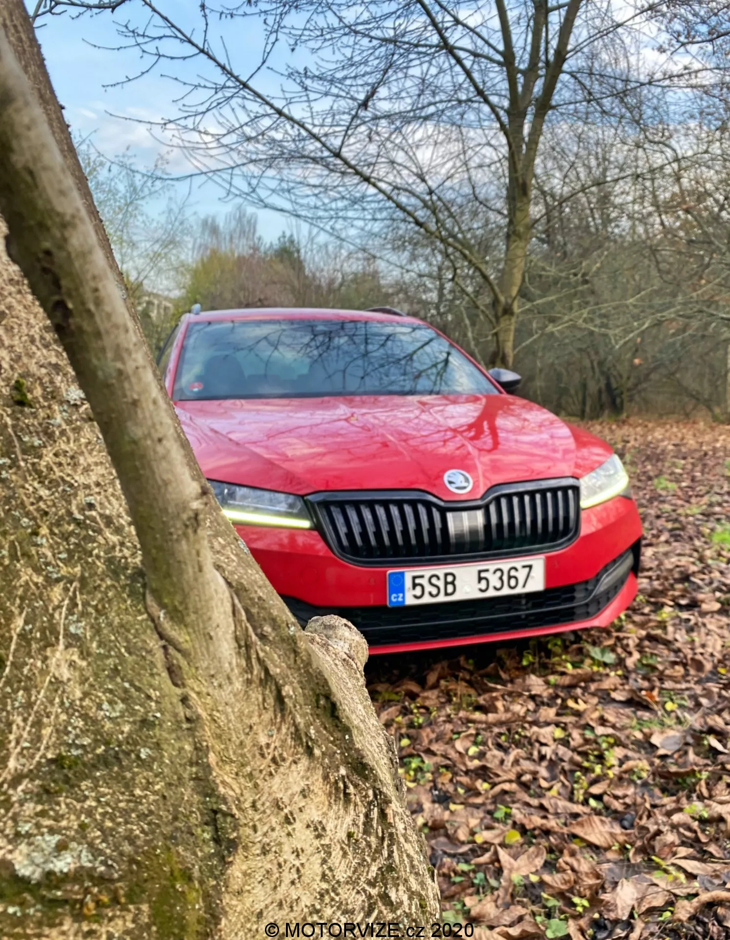 Skoda Superb 2019 roja parcialmente oculta por el tronco de un árbol, vista desde un ángulo oblicuo bajo que enfatiza la sección delantera con rejilla, faros y matrícula en un entorno exterior; colores apagados sugieren condiciones nubosas y posiblemente lluvia reciente
